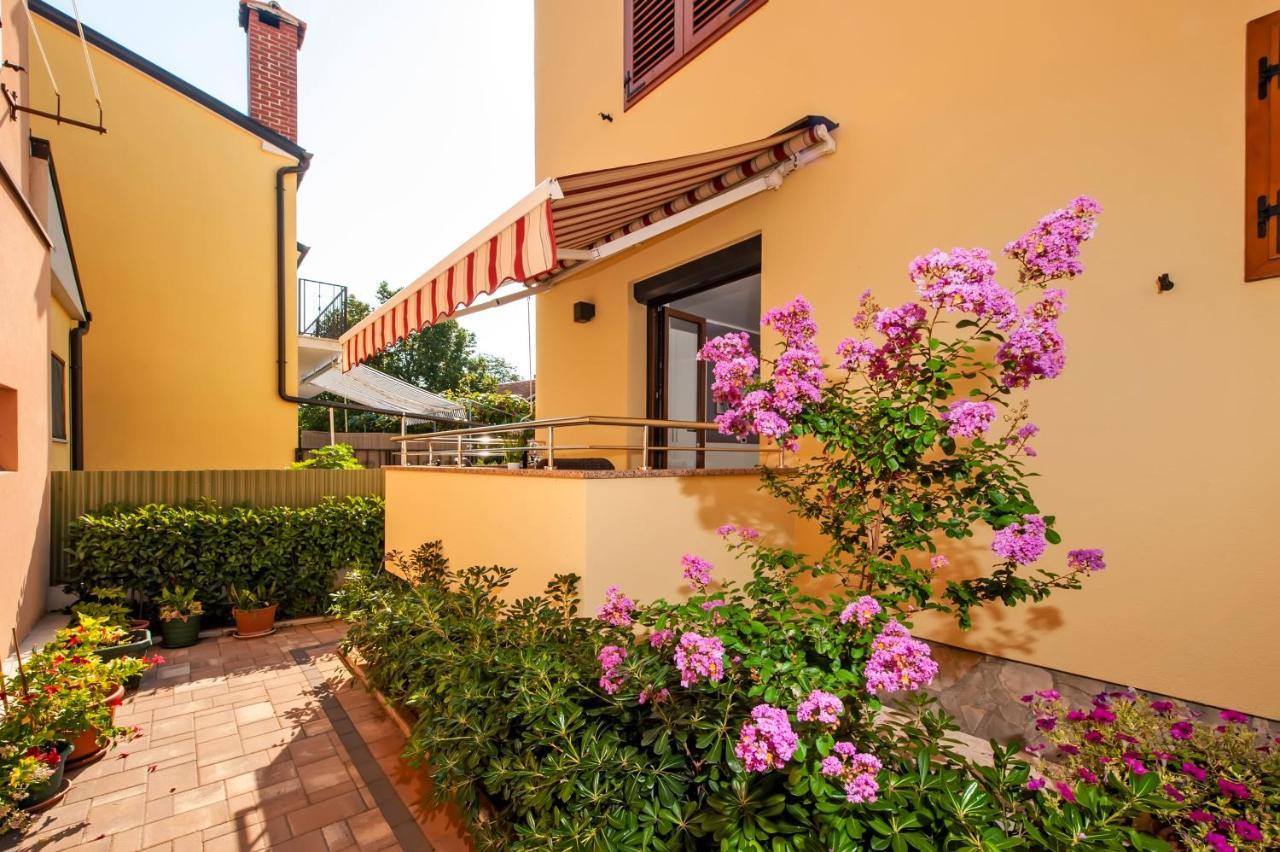 Apartman Casa Leona *